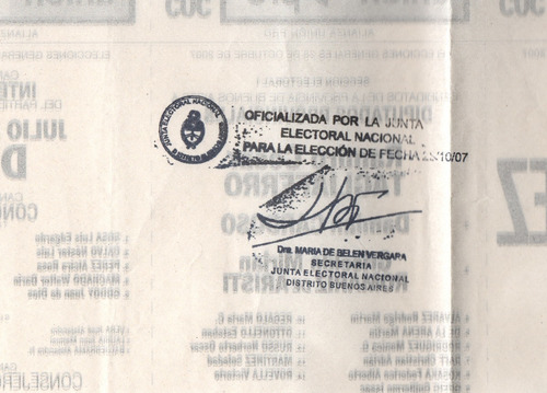 Boleta Oficializada Eleccion Partido Union-pro 2007