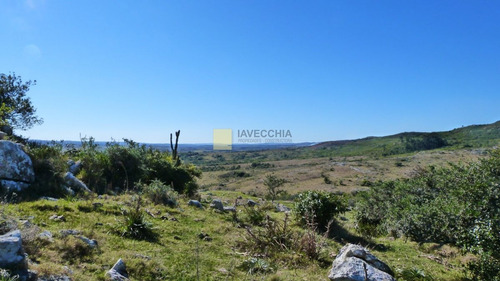 Imagen 15 de 20 de Venta De Campo De 80 Hectáreas Sobre Ruta 39