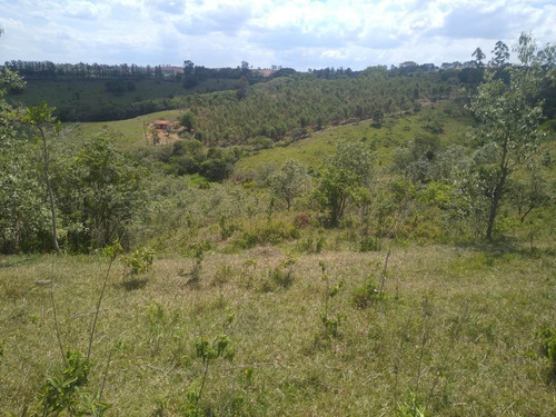 Imagem 11 de 13 de Sítio 6,5 Alqueires, Rica Em Água Com Lago, Casa Sede Com 90m2, 2 Dormitórios, Sítio Ótimo Para Pecuária, Ótima Localização - St00153 - 70457381