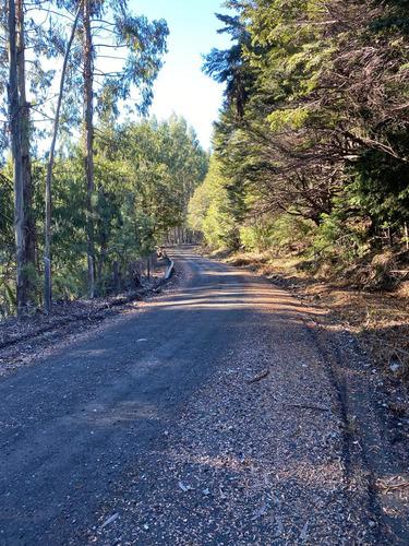 Tu Parcela Para Construir Tu Refugio En La Montaña
