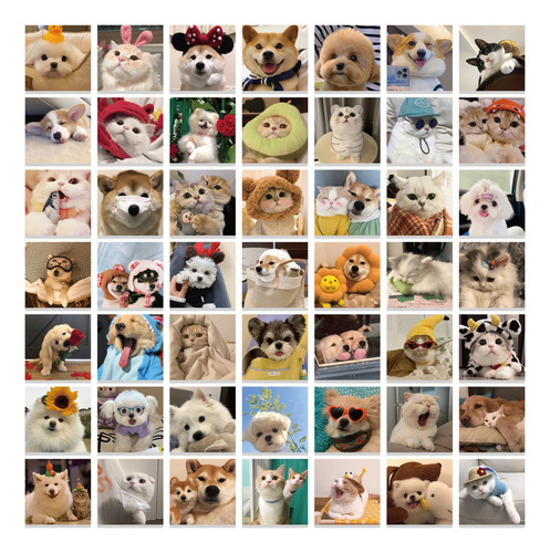 Calcomanías De Dibujos Animados Con Lindos Gatos Y Perros, 5