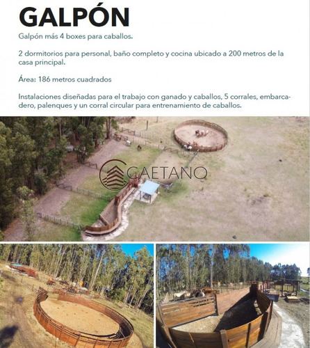 Estancia De 113 Hectáreas Ubicada En Pan De Azúcar - Ref: 3163
