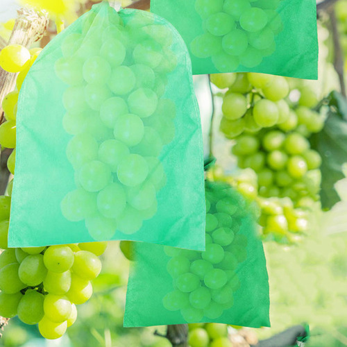 Protetores De Árvores, Saco De Uvas Para Ensacamento De Frut