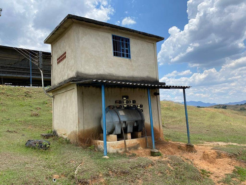 Imagen 6 de 14 de Venta Granja Automatizada Tacarigua