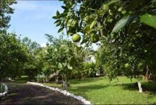 Preciosa Quinta De 4,050 M2 En Solferino, Entre Cancún Y Playa Del Carmen, Qr.