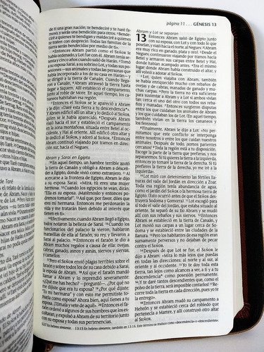 Santa Biblia Ntv, Edición Zíper, Bosque (sentipiel, Verde)