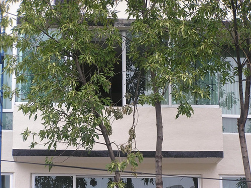 Imagen 8 de 8 de Deptos Comerciales-oficinas A 5 Minutos Del Aeropuerto Int.