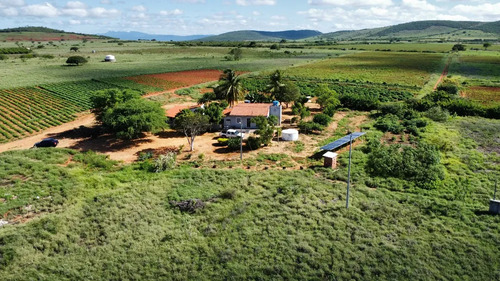 Oportunidade Única! Sítio De 12 Hectares Porteira Fechada -