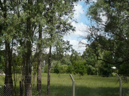 Imagen 3 de 3 de Venta De Lote Excelente Ubicación, Chacras De Canning.