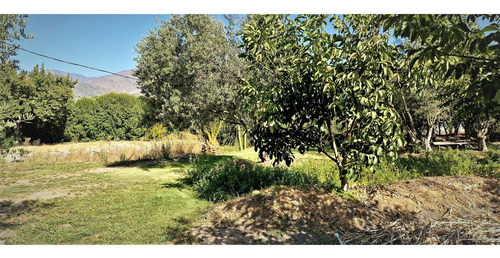 Parcela De 5.000 M2., En Venta En San Isidro, Quillota. Árbo