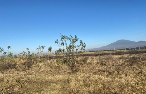Terreno En Venta En Tala, Jalisco