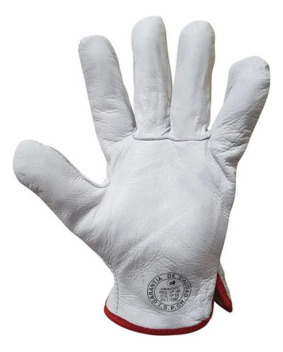 Guante Cabritilla Activex Sin Forro Pack 10 Und