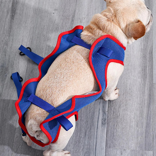 Dp Arnés De Malla Transpirable For El Cuidado De Mascotas