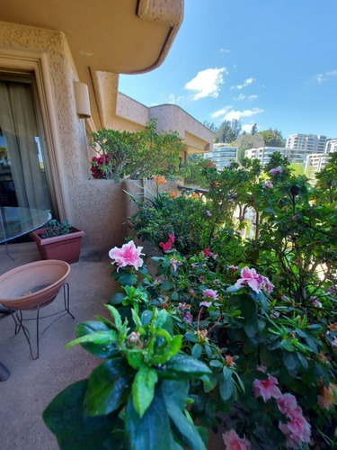 Imagen 1 de 23 de Vendo Espectacular Departamento En Pedro De Valdivia