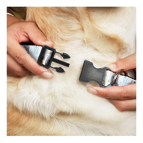 Collar De Perro Con Hebilla Clip De Plástico Entrenador De Y
