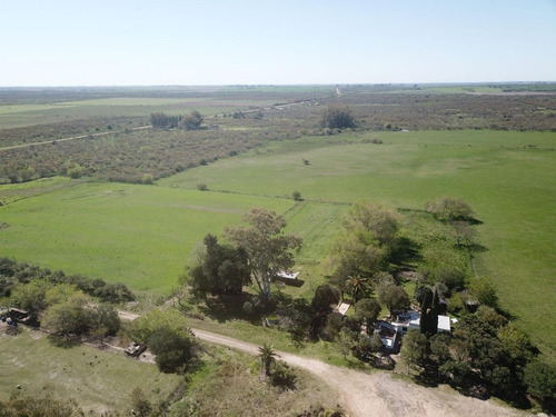 Imagen 16 de 20 de Chacra Sobre Ruta 20 Gualeguaychu!