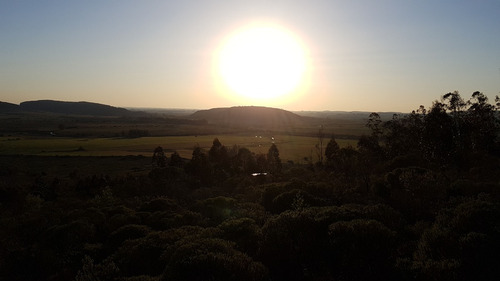 Campo Ganadero Forestal En Lavalleja 