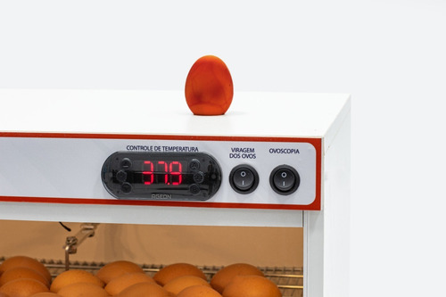 Chocadeira Automática 64 Ovos + Ovoscopia + Brinde