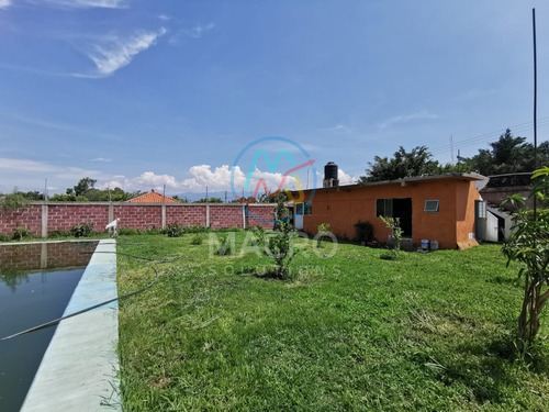 Casa En Venta En Yecapixtla Morelos De 1 Nivel Con Alberca Y Amplio Jardín