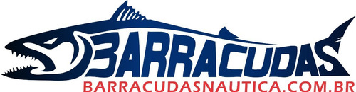 Inversor Cobra 12v Para 110v - 1000w Cpi-1000