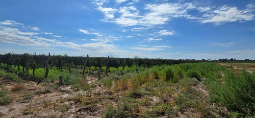 Venta Finca El Carrizal