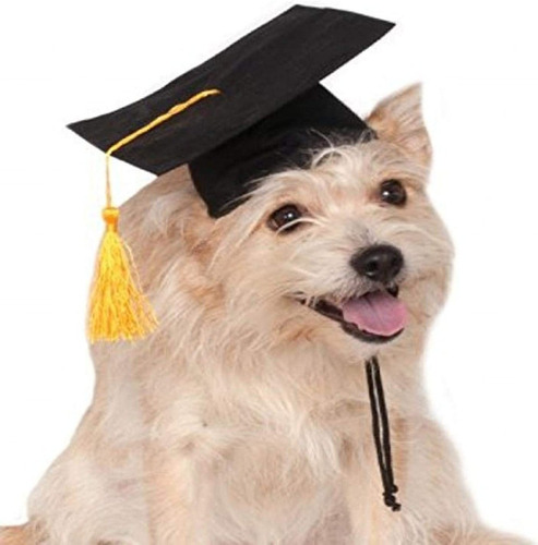 Accesorio Para Mascotas Con Sombrero De Graduacion De Rubie