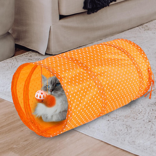 Para Gatos De Interior, Para Conejos, Ejercicio, Naranja