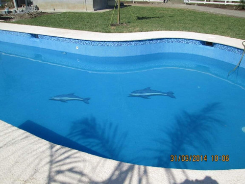 Imagen 5 de 7 de Mosaico Figura Delfin Gris De 1.25 Mts Para Alberca