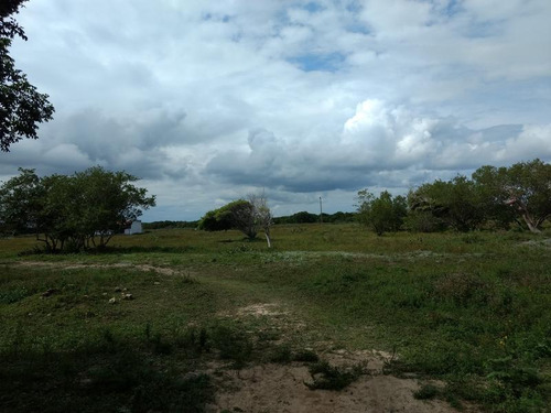 Venta Terreno 100 Hectareas Playa De Tamiahua Veracruz