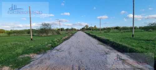 Imagen 4 de 7 de Terreno En Venta De 800 Mts2 En Los Hornos (162 E/79 Y 80)