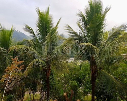 Imagem 19 de 19 de Casa 3 Dormitórios No Recanto Santa Bárbara- Jambeiro- Sp - Ca02520 - 70719991