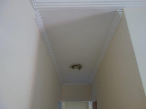 Imagem 9 de 30 de Casa - Ca1175 - 4790298
