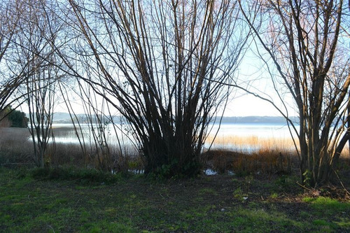 Imagen 6 de 10 de Sitio En Venta En Puerto Octay