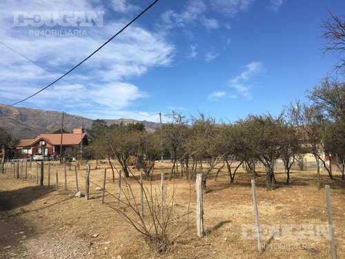Imagen 3 de 5 de Terreno - Balneario