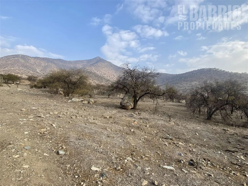 Sitio En Venta En Sector De Chamisero,chicureo,colina