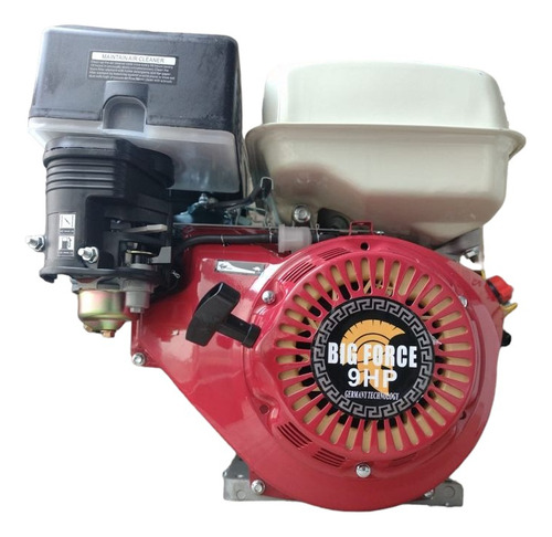 Motor A Gasolina 9 Hp 4 T