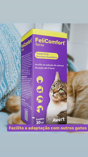 Felicomfort Spray 30ml Avert -adaptação-reduz Estresse Gatos