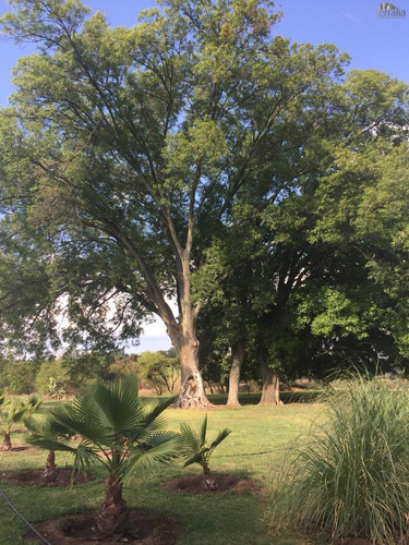 Terreno Campestre En Venta En El Espejo En Fraccionamiento Sustentable