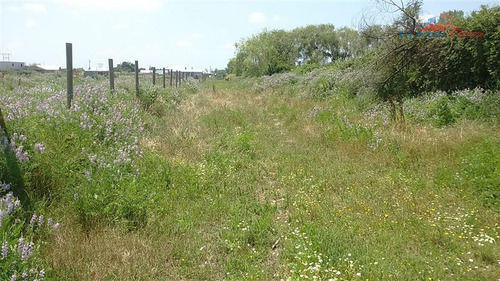 Imagen 30 de 30 de Agrícola En Venta En Linares
