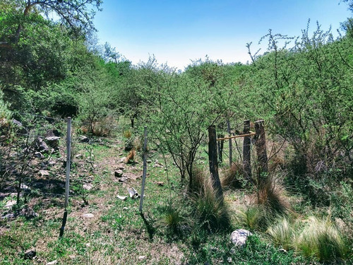 Imagen 7 de 8 de Campo Venta Villa De Las Rosas
