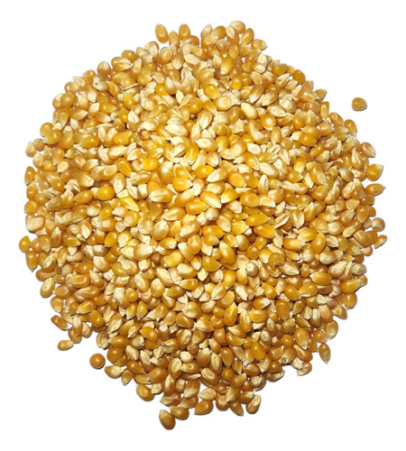 Maiz Palomero 1kg