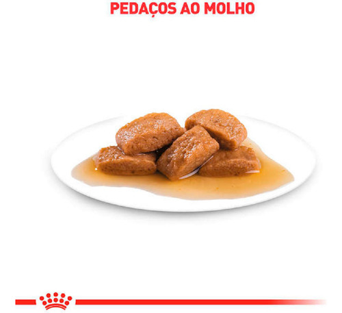 Kit 2 Unidades - Royal Canin Ração Acc Vdf Renal S/o Wet 85g