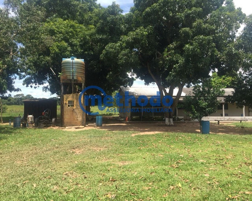 Fazenda - Fa00006 - 68495881