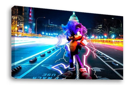 Cuadro Decorativo Canvas Moderno Sonic Película