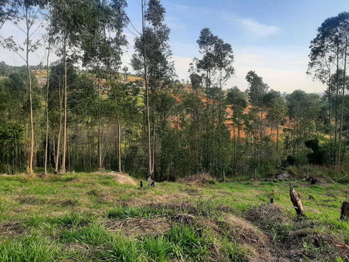 Imagem 8 de 8 de Lançamento Terrenos Em Sebandilha