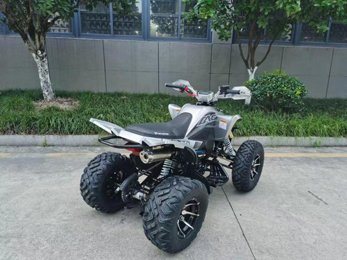Imagen 8 de 21 de Cuatrimoto Predator 250cc Deportiva Mecanica 16hp. 0 Kl 2023