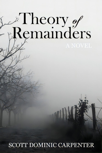 Theory Of Remainders, De Carpenter, Scott Dominic. Editorial Winter Goose Pub, Tapa Blanda En Inglés