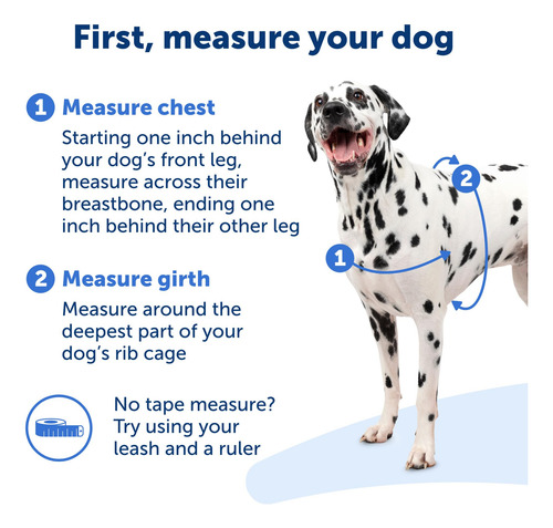Arnés Para Perros Petsafe Easy Walk No-pull, Pequeño, Color