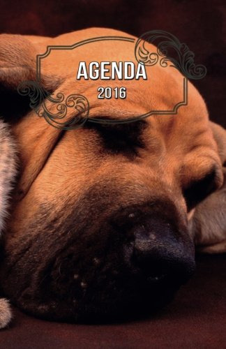 Agenda 2016 Solidaria #2 (agenda Solidaria)