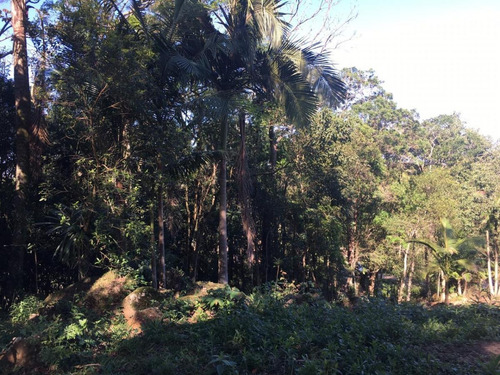 Imagem 4 de 4 de Terreno Para Venda Em Garopaba, Encantada - 909_2-1100247